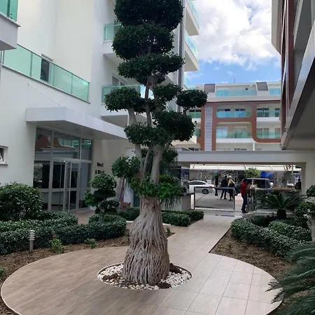 Besthome 20 阿拉尼亚